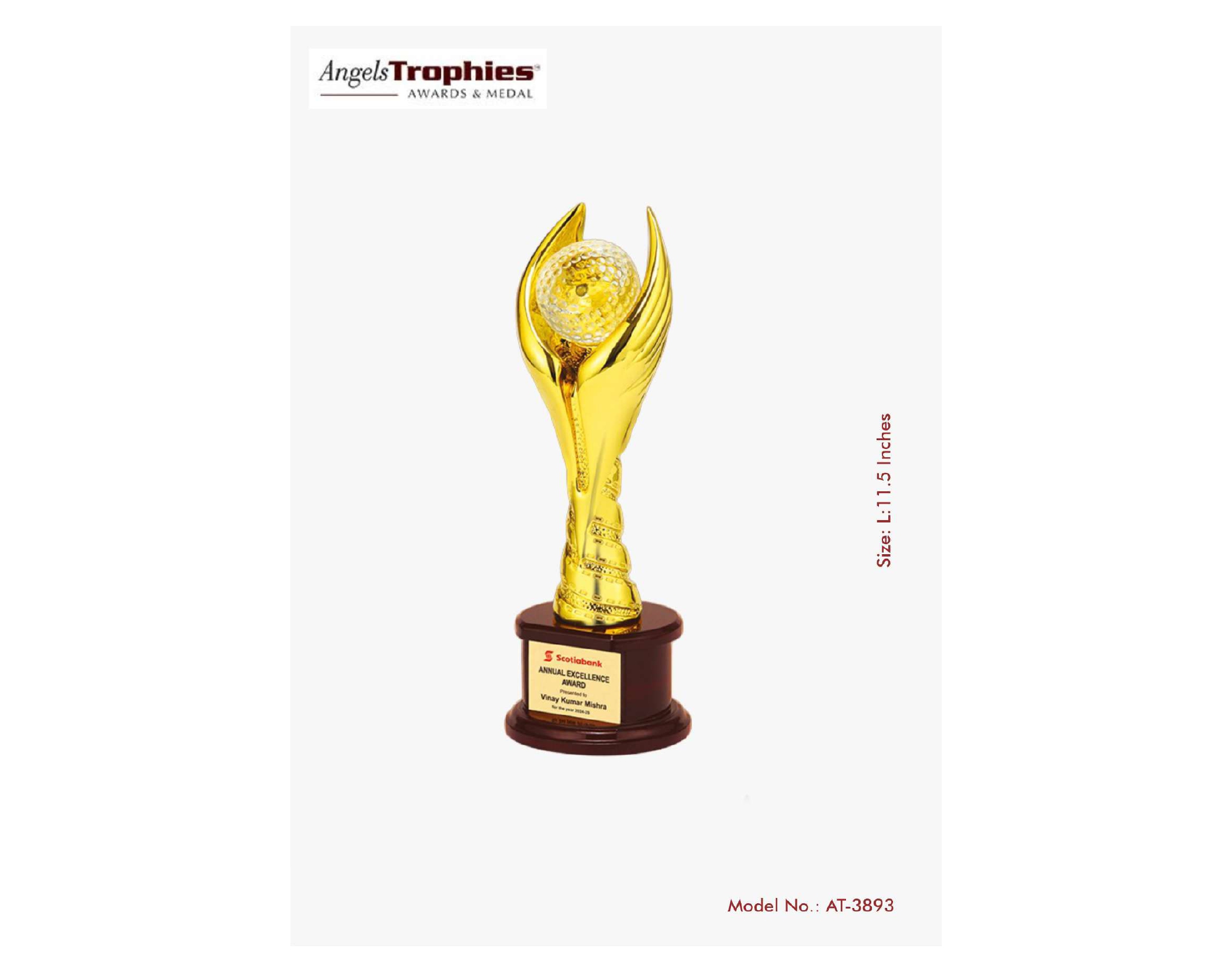metal trophy